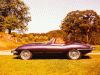 [thumbnail of 1961 Jaguar E-Type 3.8 Roadster sv_2.jpg]
